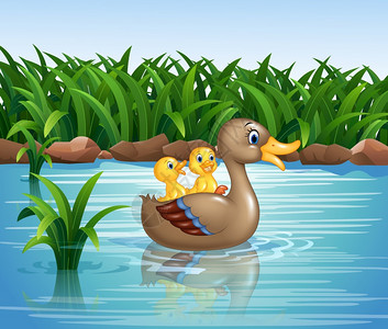 草满池塘水满陂卡通可爱池塘里游泳的鸭子插画