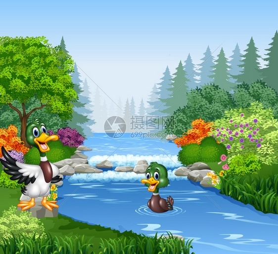 卡通可爱池塘里游泳的鸭子图片