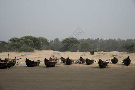 迪加海滩西贝格尔印地亚图片