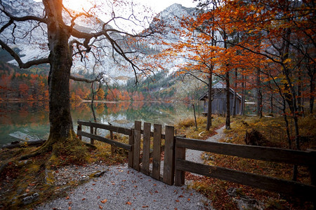 一片美丽的山湖与反射景色秋天图片