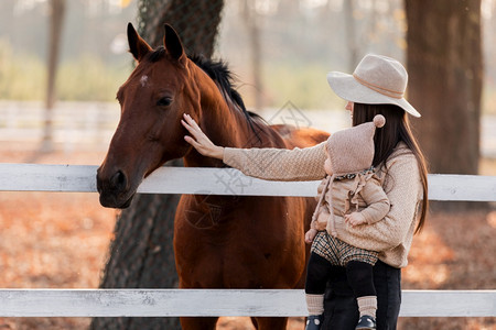 在秋天阳光明媚的日子里年轻母亲和小女婴在马匹旁边图片