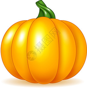 宝宝餐白色背景孤立的卡通南瓜插画