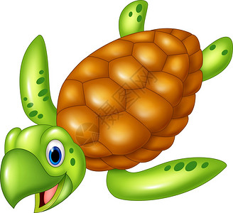 海龟玳瑁插画