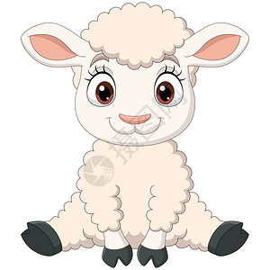 牧羊犬羊可爱的婴儿小羊羔卡通片设计图片