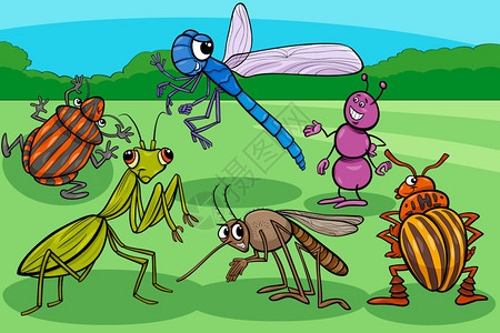 昆虫矢量漫画图片