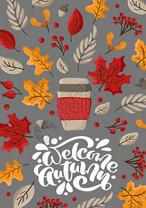 欢迎秋季矢量书写文本可爱的秋季贺卡上面有叶子浆果和杯茶中间有咖啡感谢日的秋季概念可爱的秋季贺卡中间有咖啡感谢日的秋季概念图片