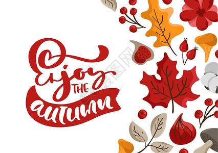 享受秋季矢量书写文字可爱的贺卡有叶子浆果花和蘑菇感谢日的秋季概念可爱的贺卡有叶子花果和蘑菇感谢日的秋季概念图片