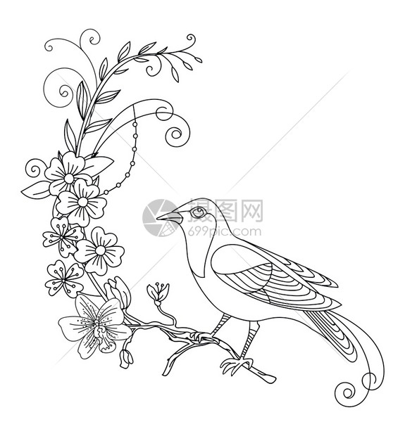 插画 其他 矢量鸟和抽象花朵黑色轮廓插图孤立在白色上手工绘制单色