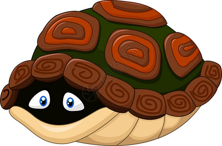 可爱的乌龟藏在壳里图片