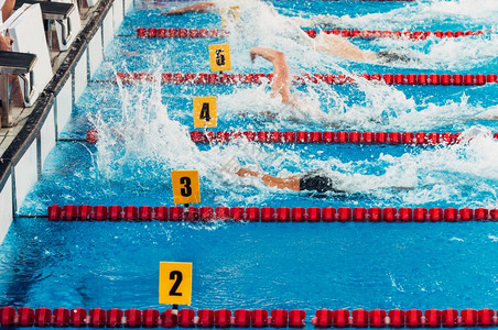游泳者参与竞争图片