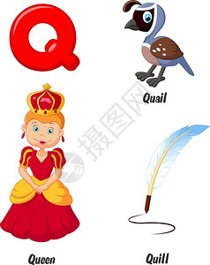 鹌鹑焗饭字母q开头的英文字母插画