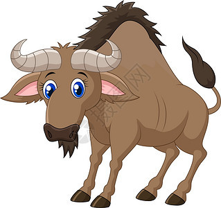 野生动物牛的插图图片