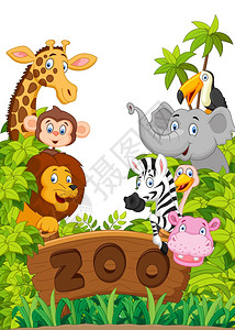 动物园的动物图片