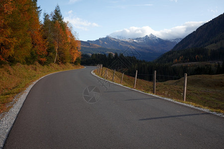 美丽的风景山路澳洲脉的公路秋天图片