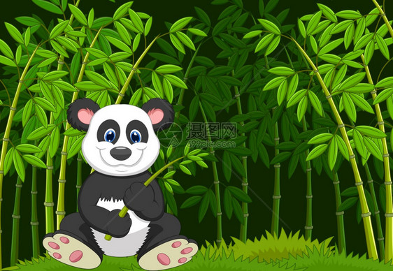 丛林竹子里的卡通熊猫图片