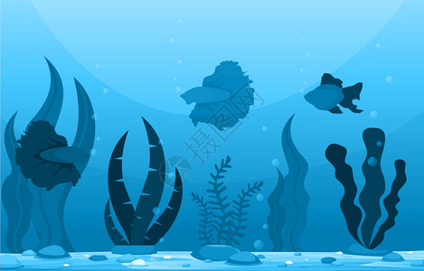 深海世界蓝色水生动植物蝴蝶鱼图片