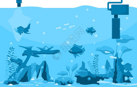 蓝色深海世界水生动植物海草图片