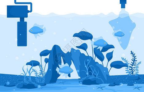 深海世界蓝色水生动植物鱼群图片