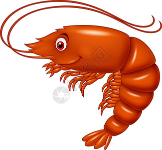 虾卡通插画