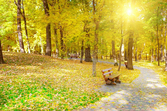 秋天公园花长椅明亮的日落图片
