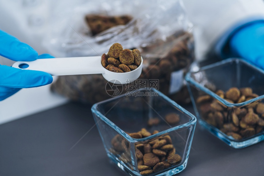 宠物食品质量控制的测试样本高清图片下载正版图片303772553摄图网
