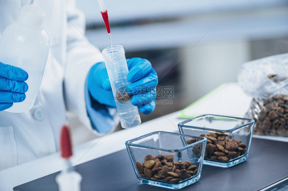 食用宠物品检测实验室微生物学家用采样的干宠物食品在试管中浇水图片