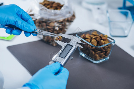 测量实验室中的干宠物食和烧烤卡利珀鱼肉图片