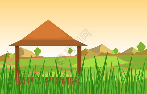 绿稻种植园农业插图图片