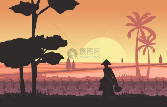 稻田种植农户剪影图片