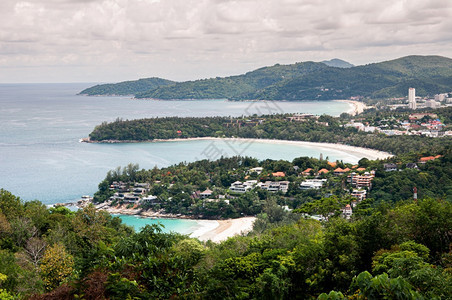 蓝天下金色草冠和蓝海高清图片下载 正版图片 摄图网