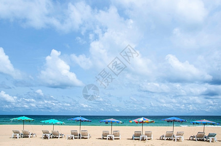 蓝天下金色草冠和蓝海高清图片下载 正版图片 摄图网