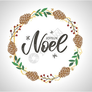 以法语提供问候的圣诞礼卡模板喜悦式noel矢量说明喜悦式圣诞节礼卡模板以法语提供问候矢量说明eps10图片