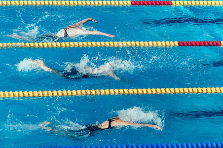 游泳者参与竞争图片