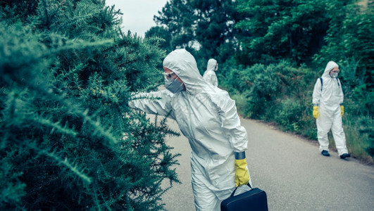 在空路植被中寻找样本图片