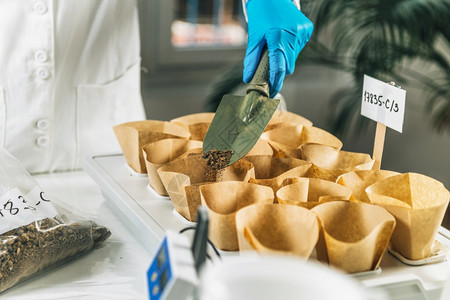生物学家和手持保护套用小容器分离的样品上方土壤弹片图片