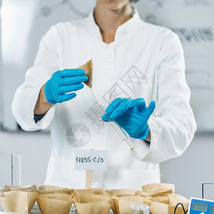 化验实室在土壤样本中用白色大衣浇灌水的妇女生物学家图片