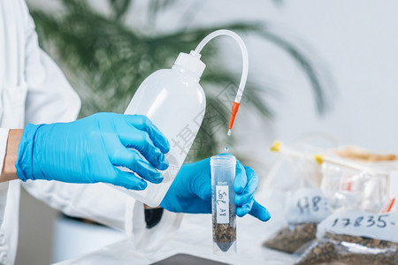 白色大衣中的女生物学家将水倒入试验管在实室中用溶解的土壤样品进行检验图片