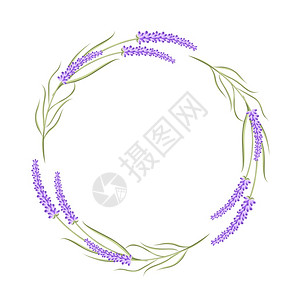 圆边框用白孤立的熏衣花用于贺卡设计库存矢量插图图片