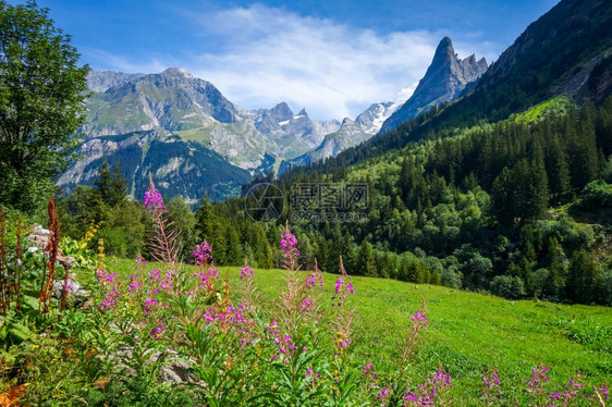 法国阿尔卑斯山图片