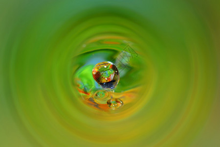 在一条绿洞中坠落的水滴图片