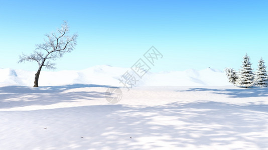 冬雪野场背景有选择地关注田野3D图片