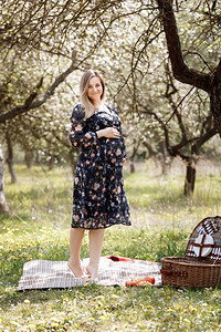 在盛开的春天花园野餐美丽孕妇母家庭有选择焦点美丽孕妇在盛开春天花园野餐图片