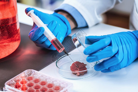科学家将红色物质与注射器进培干盘中的肉样图片