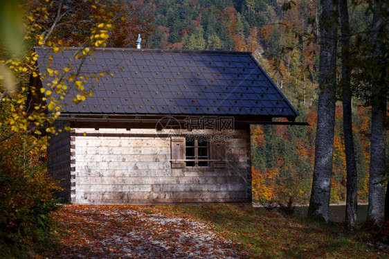 山上有美丽的木屋秋天图片