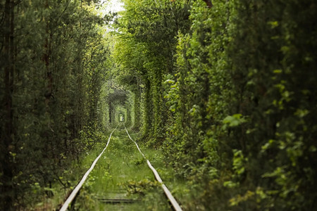 古老的爱情隧道古老的铁路在夏天日美丽隧道里古老图片