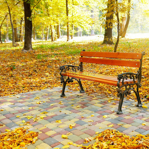 一个美丽的秋天公园长椅放松图片