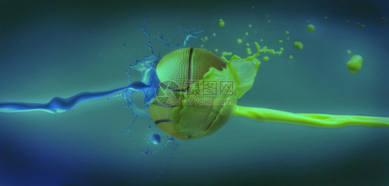 黄色和蓝涂料喷洒的篮球图片
