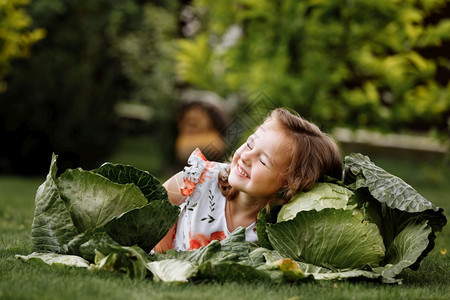 可爱的小女孩躺在卷心菜附近的绿草地上可爱的小女孩躺在卷心菜田地上收获概念快乐的童年可爱小女孩躺在卷心菜田上图片