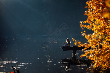 孤单的年轻女在木桥上读一本书背景图片