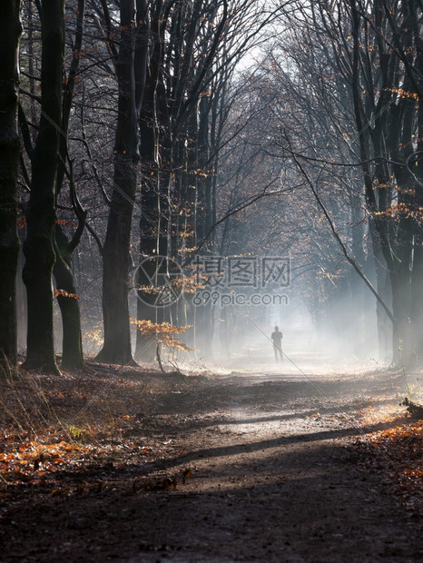 人类的脚影位于草泥路上的阴地靠近乌得勒支的浓雾冬季森林中图片